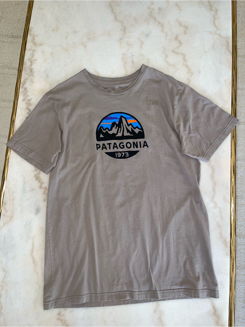 Patagonia slim fit tee